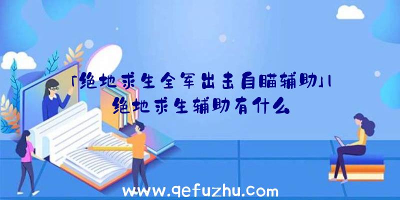 「绝地求生全军出击自瞄辅助」|绝地求生辅助有什么